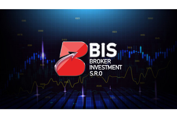 What is BIS? Pros – Cons, the BIS (Broker Investment) Registration Guide